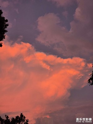 【节日里的影像】+身边的美