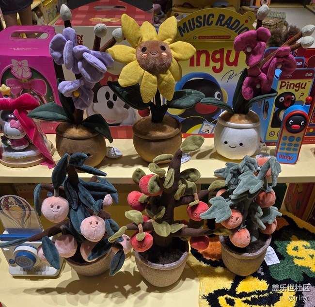 【我与盖乐世社区】生活里的趣味