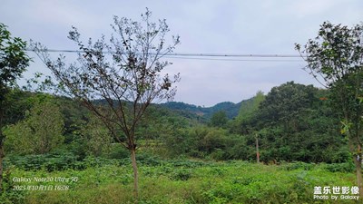 【节日里的影像】老家的中秋风景