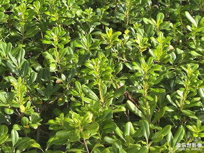 【节日里的影像】+温暖欢乐