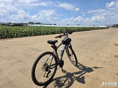 【节日里的影像】骑行随拍