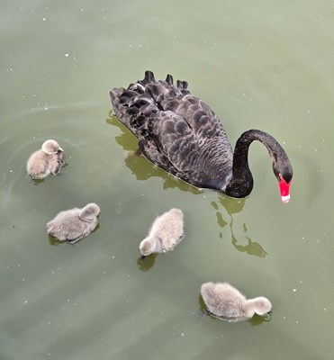 【节日里的影像】+悠闲时光