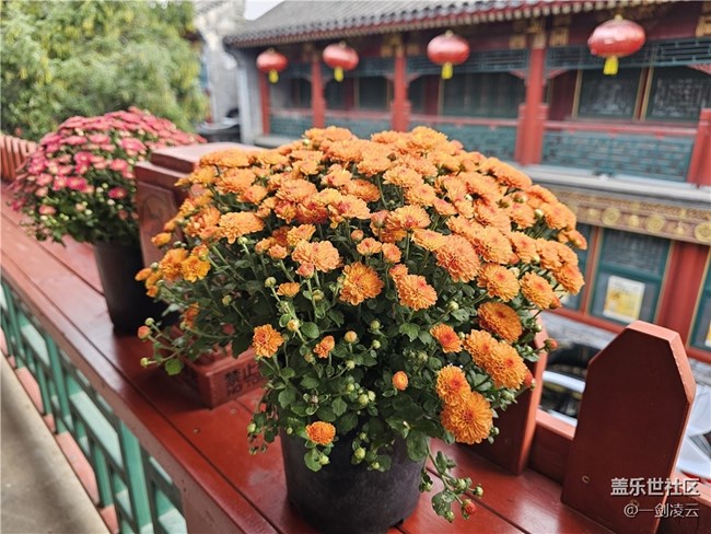 【AI琉璃厂】老北京的风采 【AI琉璃厂】老北京的风采