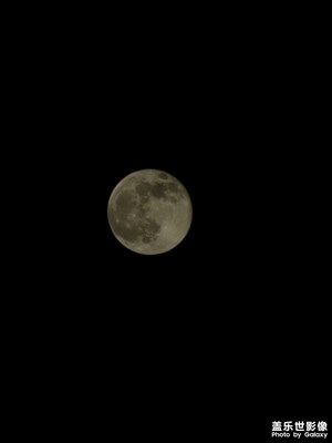 【小团圆】+十五的月亮十六圆