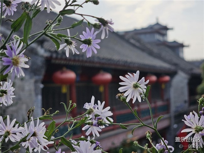 【AI琉璃厂】老北京的风采 【AI琉璃厂】老北京的风采