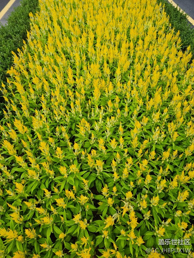 【捕捉生活中的对比色】公园色彩