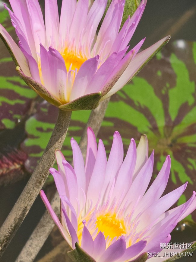 【被遗忘的角落】公园一角