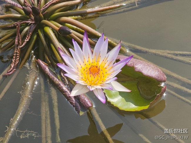 【被遗忘的角落】公园一角