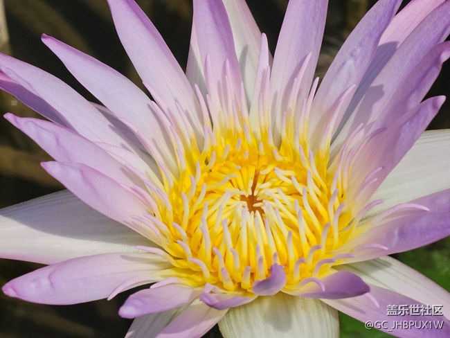 【被遗忘的角落】公园一角