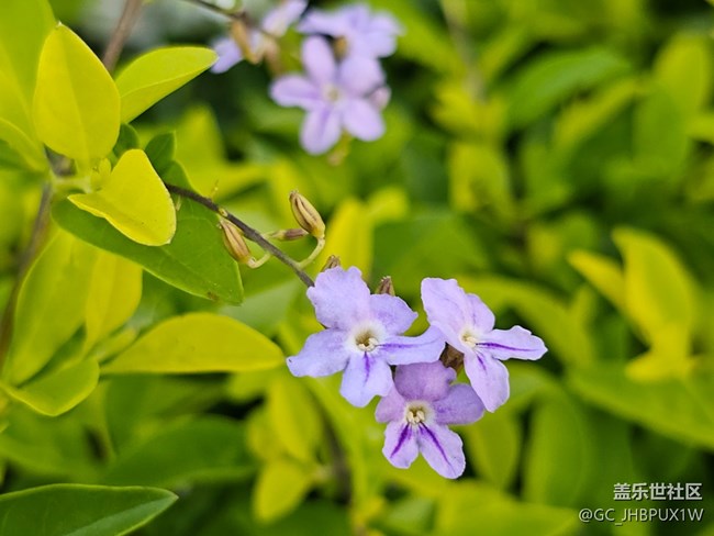 【捕捉生活中的对比色】公园色彩