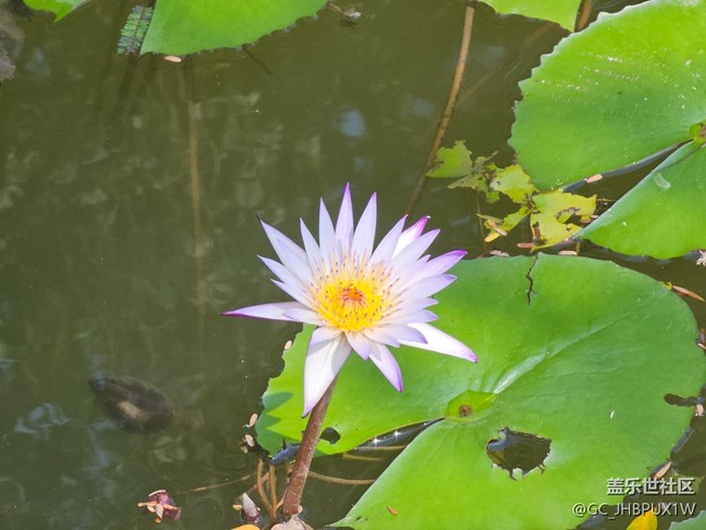 【被遗忘的角落】公园一角