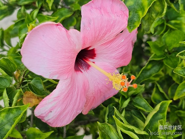 【捕捉生活中的对比色】公园色彩