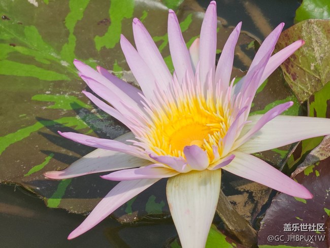 【被遗忘的角落】公园一角