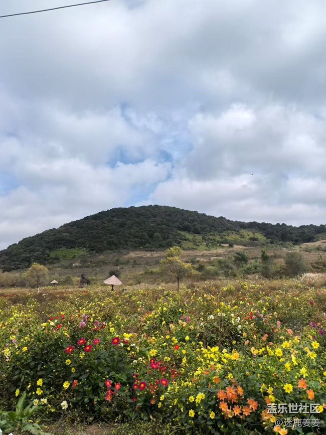 【旅途中的精彩时刻】秋游爬山，沿途风景，记录