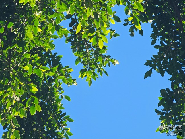 【被遗忘的角落】美妙时刻