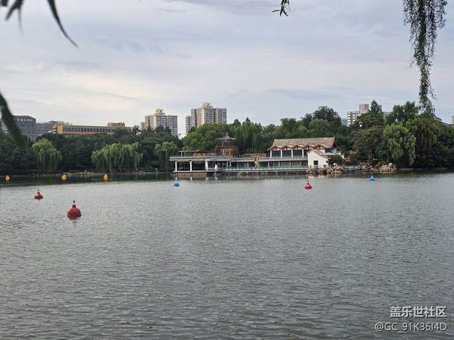 【生活微光】游园观湖景