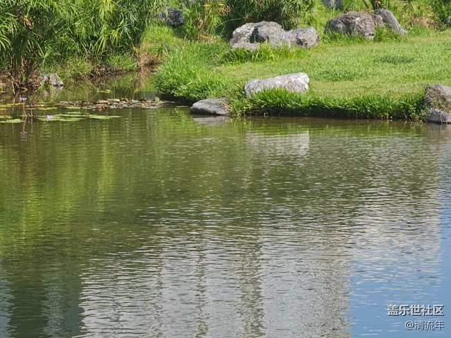 【被遗忘的角落】美妙时刻