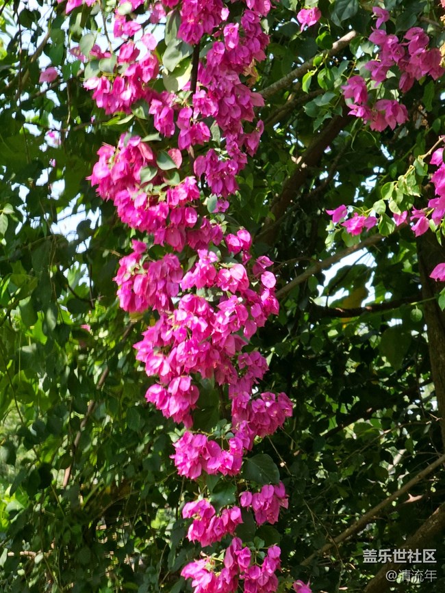 【被遗忘的角落】美妙时刻