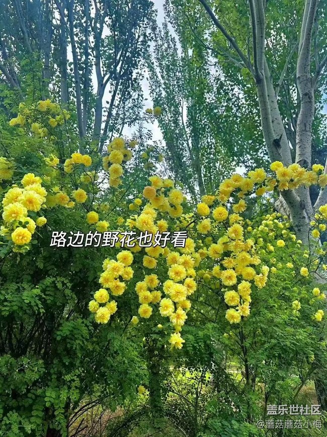 【旅途中的精彩时刻】秋天的样子