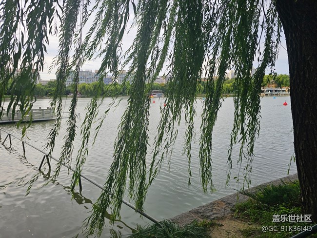 【生活微光】游园观湖景