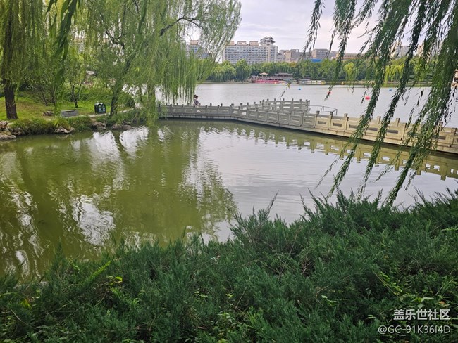 【生活微光】游园观湖景