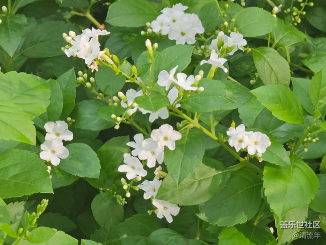 【捕捉生活中的对比色】美妙自然色彩