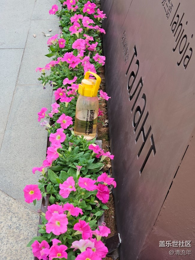 【我与盖乐世社区】旅行瞬间