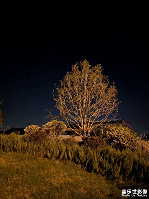 一张夜景