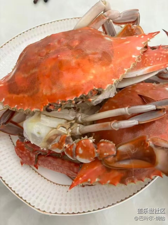 【赏味清秋】家庭煮夫