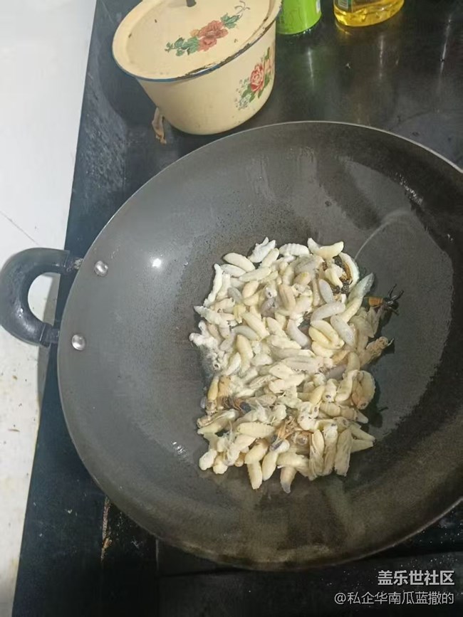 【赏味清秋】炸蜂蛹