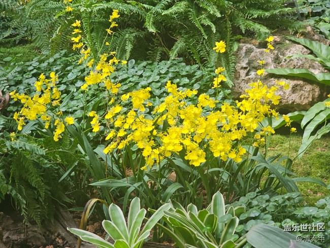 【捕捉生活中的对比色】美妙自然色彩