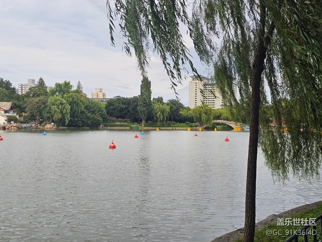 【生活微光】游园观湖景