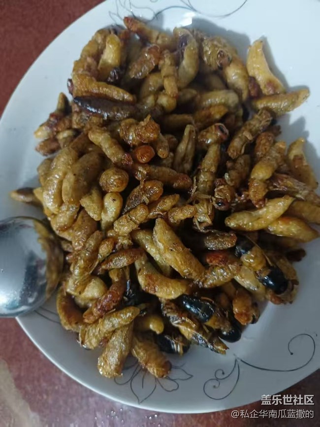 【赏味清秋】炸蜂蛹