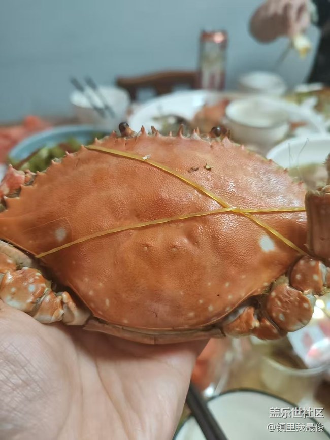 【赏味清秋】大杂蟹