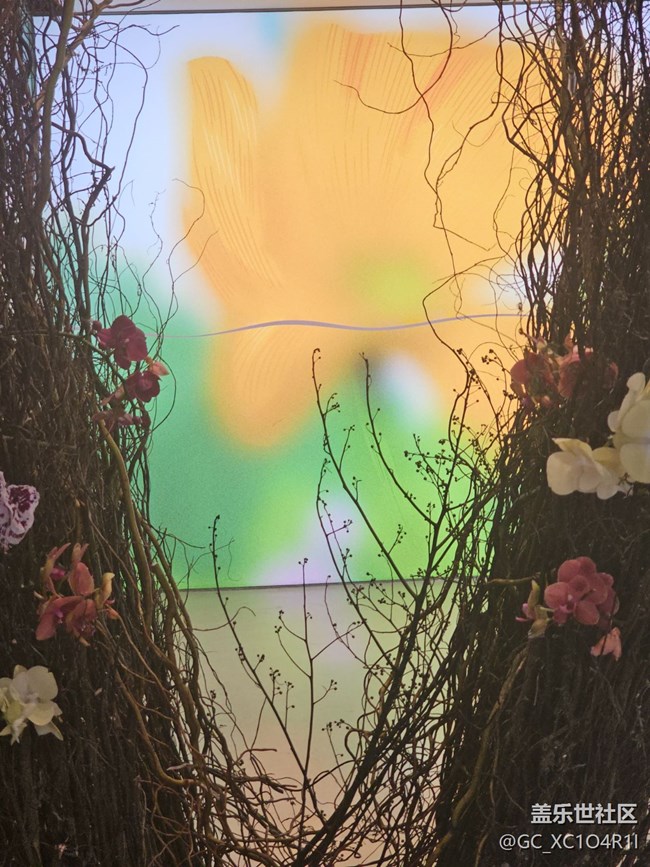【我与盖乐世社区】色彩日记