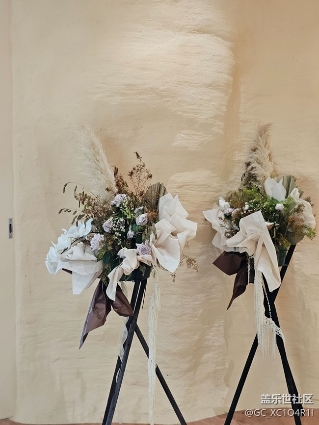 【我与盖乐世社区】色彩日记