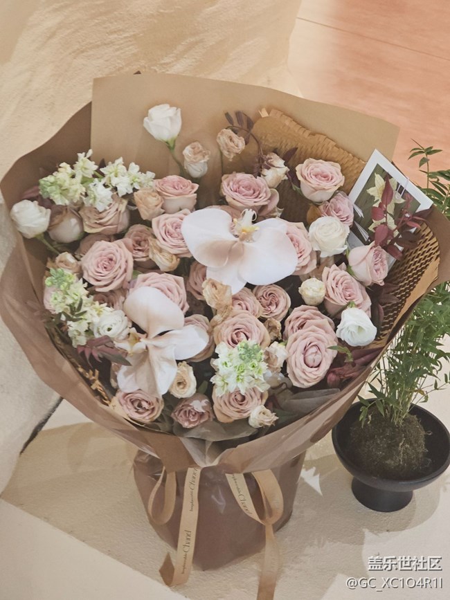 【我与盖乐世社区】色彩日记