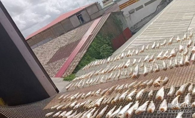 【赏味清秋】炸小鱼