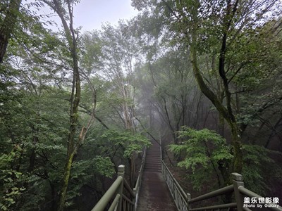 【小团圆】+雨后雾山