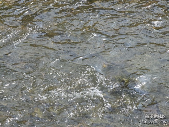 【我与盖乐世社区】快乐老家