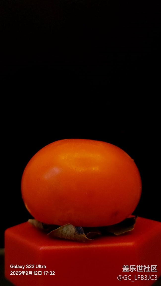 玫瑰花与红柿子