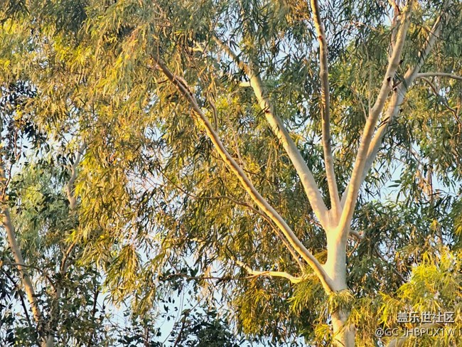 【欢迎来我的家乡】周边小拍