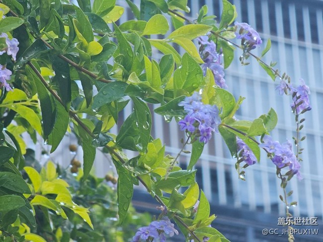 【欢迎来我的家乡】周边小拍