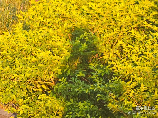 【欢迎来我的家乡】周边小拍