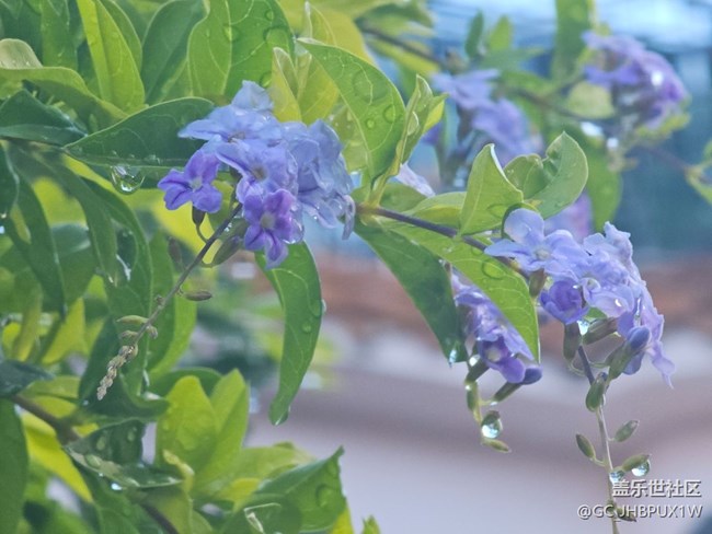 【欢迎来我的家乡】周边小拍