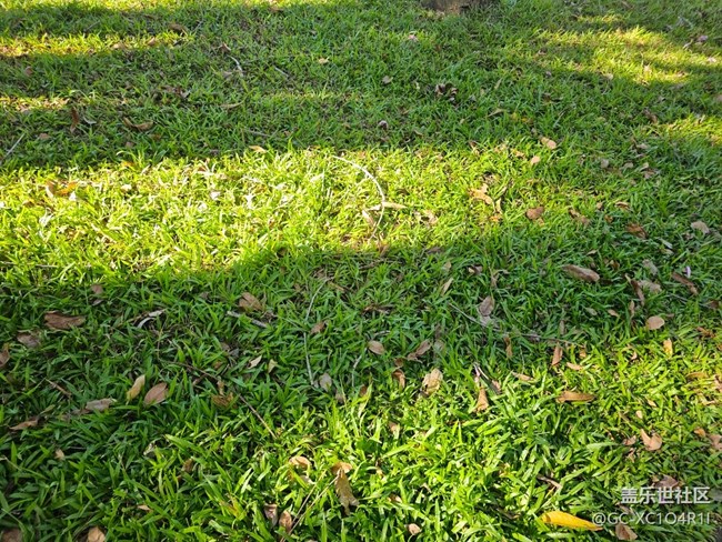 【欢迎来我的家乡】家乡景色