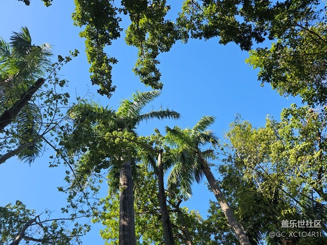 【欢迎来我的家乡】家乡景色