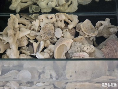 【小团圆】记录生活