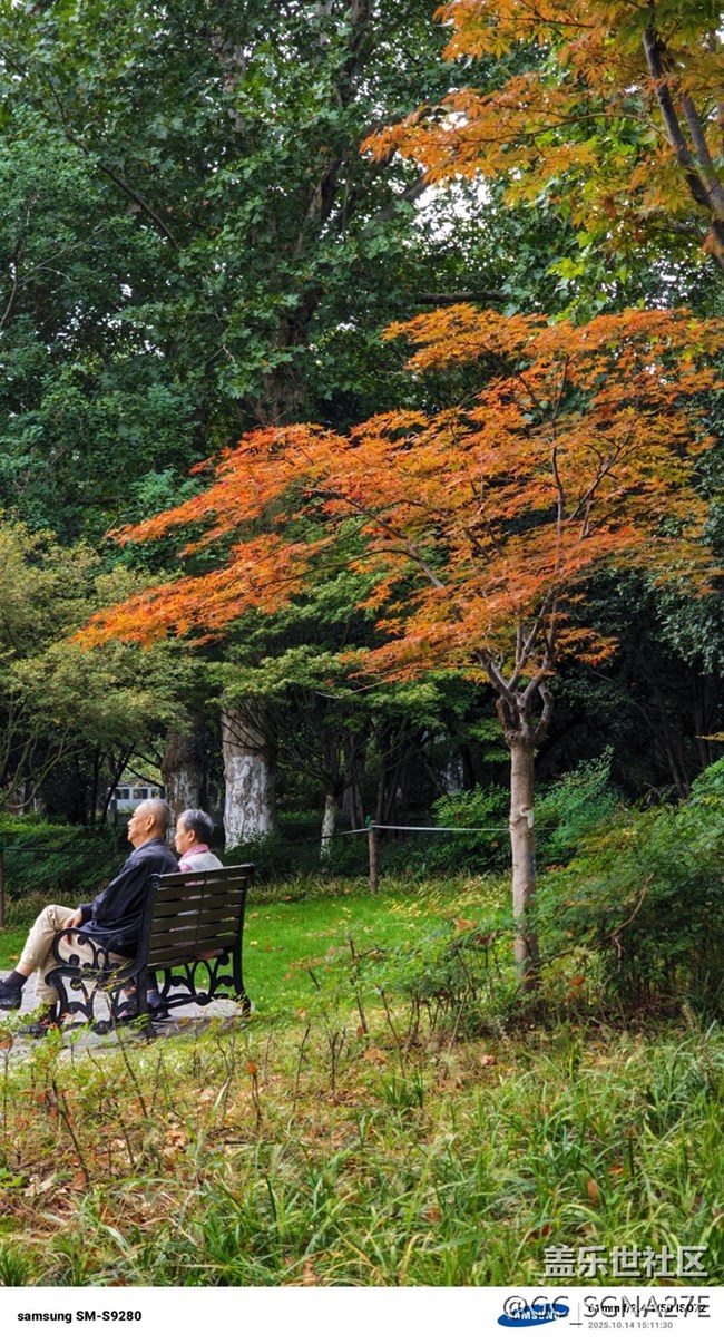 8.0不给S24系列相机下放水印，自己解决更高级