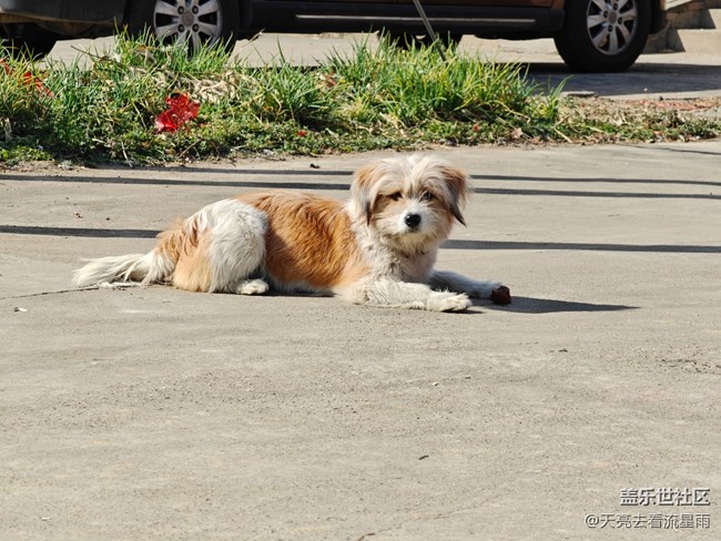【生活微光】回乡随拍